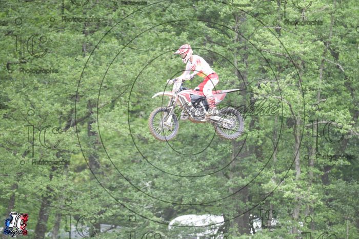 CROSS AMBERT 2023